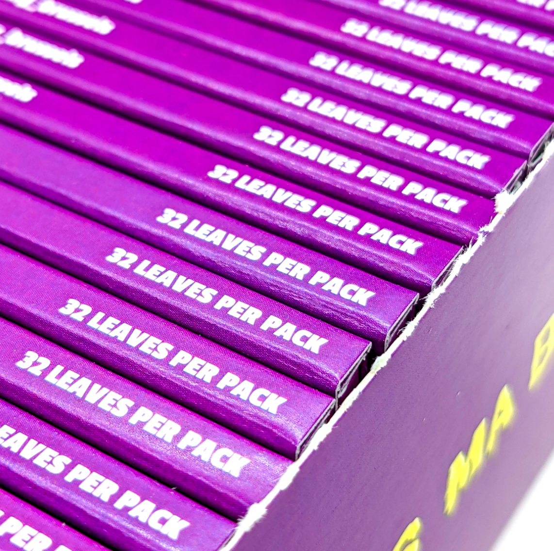 Zoom sur les 32 feuilles non blanchies du carnet Magic King Mauve – Format Slim
