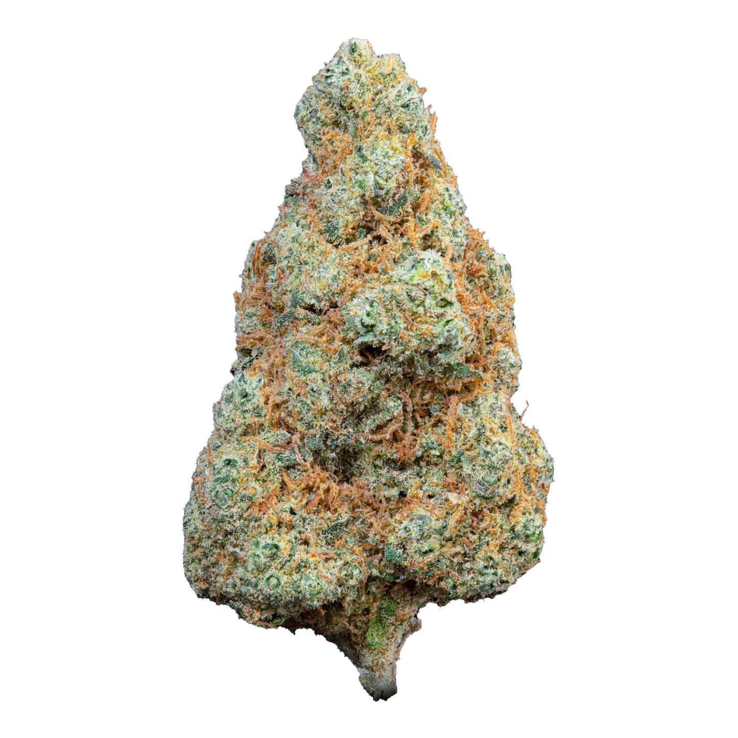 Fleur Gorilla Aranciata Magic King – MK Bag Premium 1g 2g 3g
Ancre URL : #gorilla-aranciata