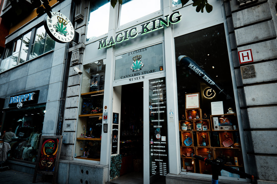 Magic King Cannabis Museum : Le premier musée fumeur de Belgique