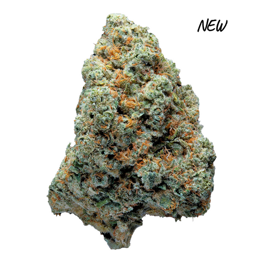 MK Bag Premium Amnesia CBD 16,42% – Fleur indoor artisanale MK Signature, sélection Hypro Seeds, arômes floraux & zestés, cultivée en Italie