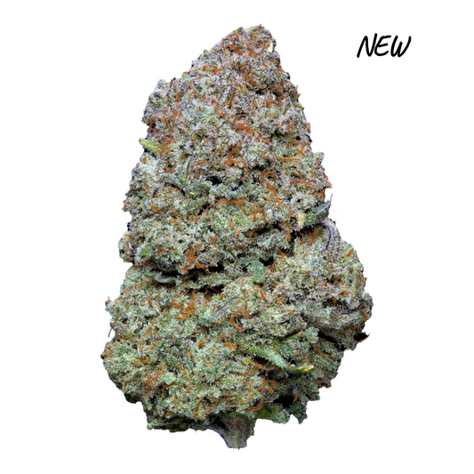 MK Bag Premium Fleurs d’Oranger 8,39% CBD – Fleur indoor artisanale MK Signature aux arômes zestés et floraux, cultivée en Italie