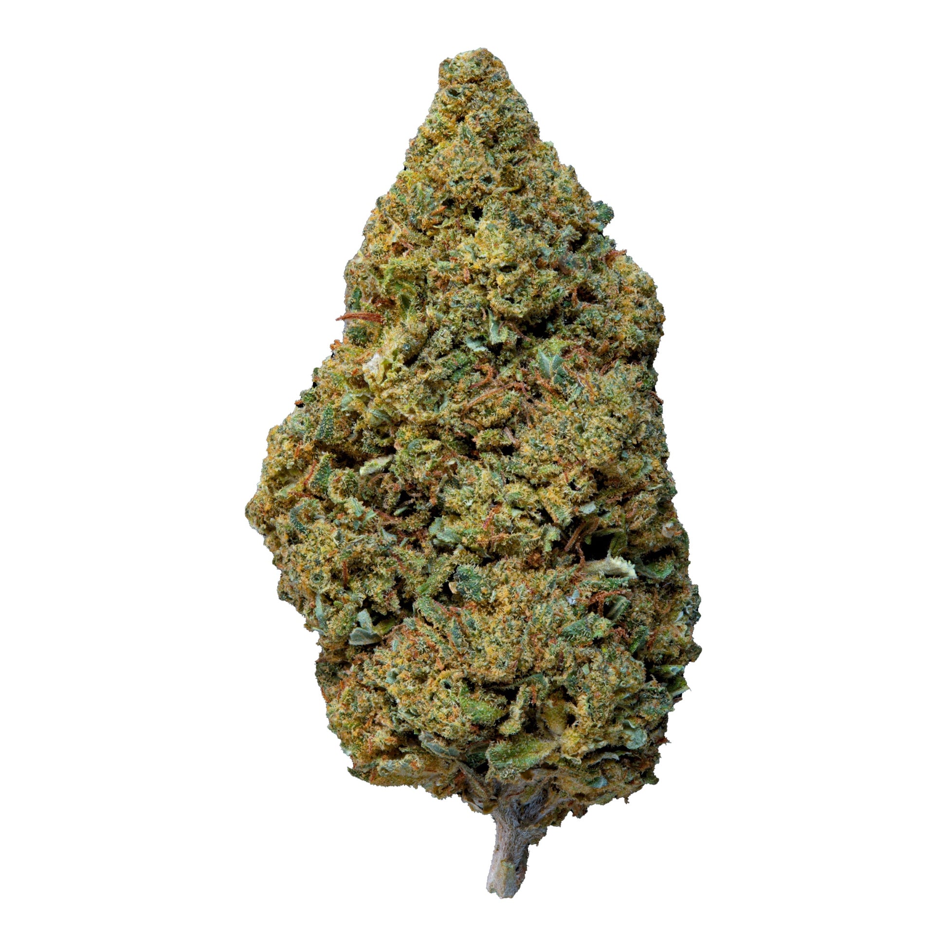 Fleur Gelato Greenhouse MK Bag – Saveur crémeuse