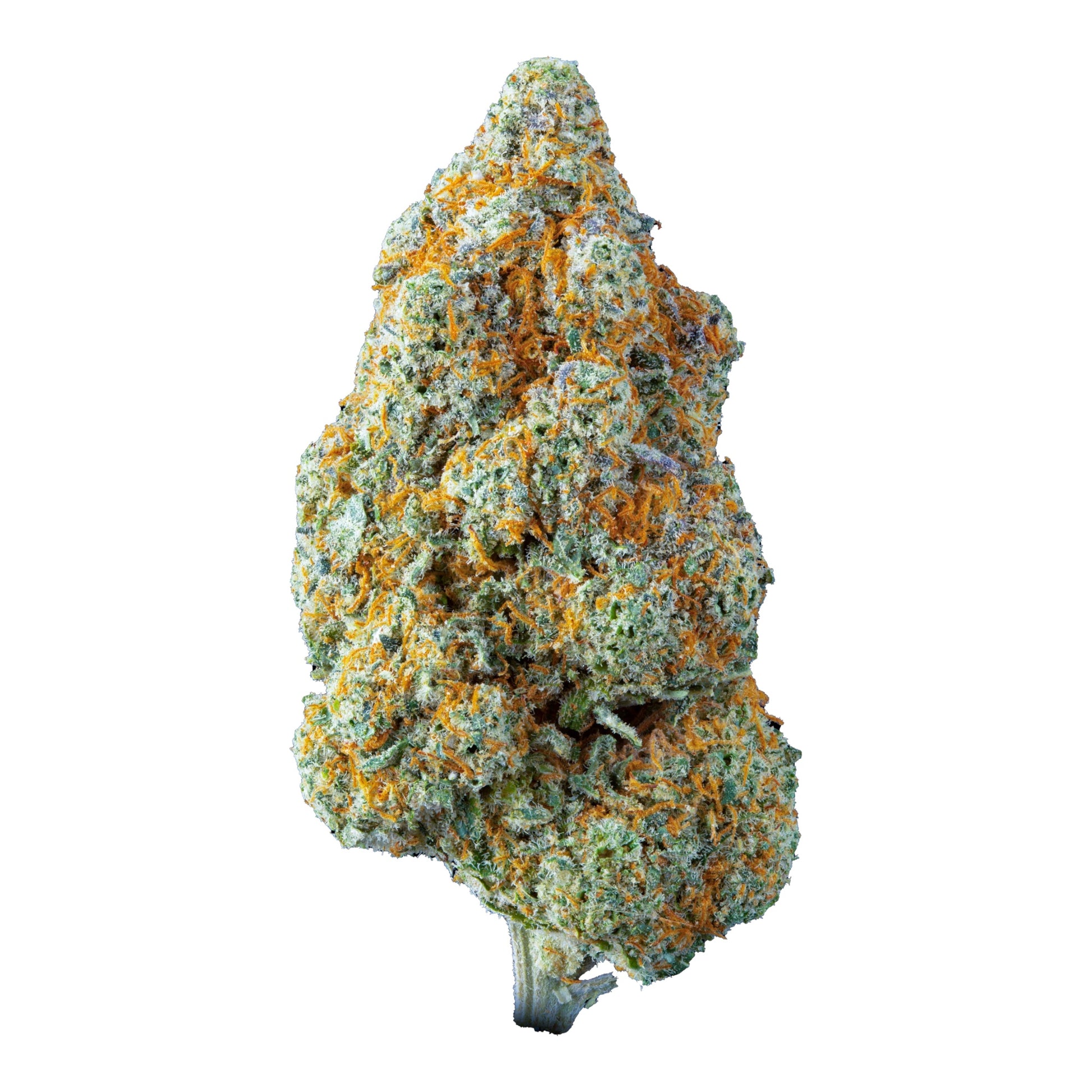 MK Bag Lemon Kush – Fleur premium Magic King 1g 3g 5g, cultivée en Italie