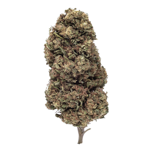 MK Bag Outdoor Sour – Fleur acidulée et naturelle Magic King