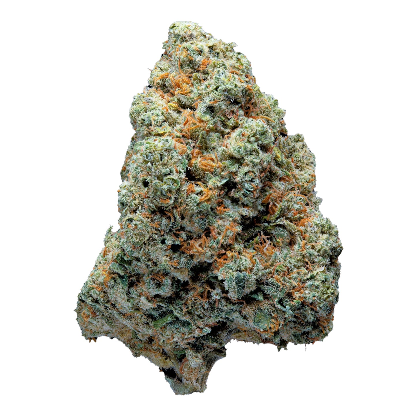 Fleur Amnesia Indoor – MK Bag Premium Magic King
