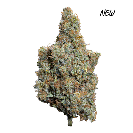 MK Bag Premium Hell Fire – Fleurs indoor 14,19 % CBD Magic King Signature