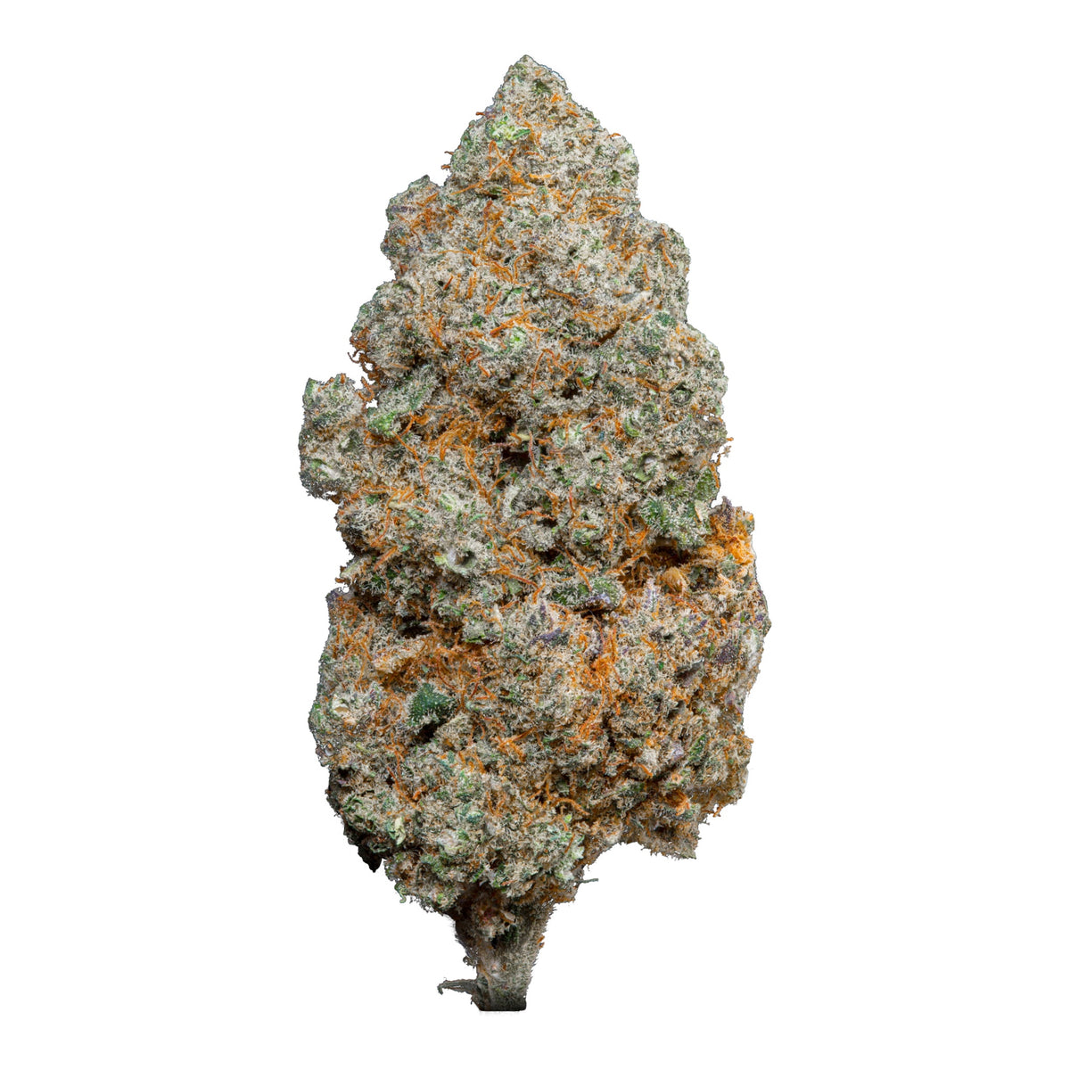 Fleur MK Sour Magic King – variété premium aux arômes acidulés