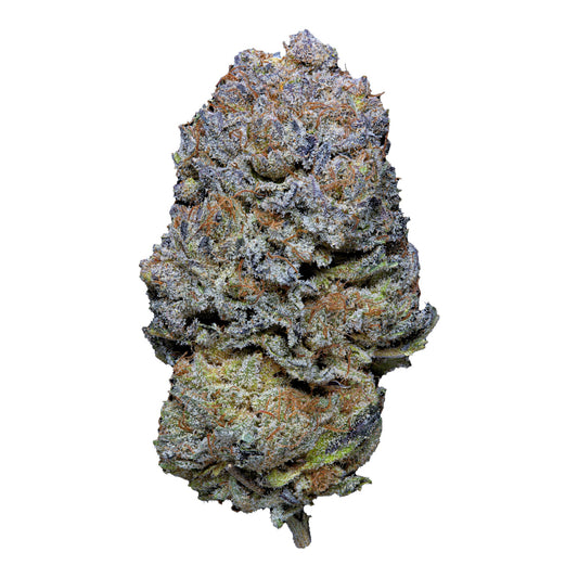 MK Bag Purple Kush – Fleur premium Magic King, 1g 3g 5g, cultivée en Italie