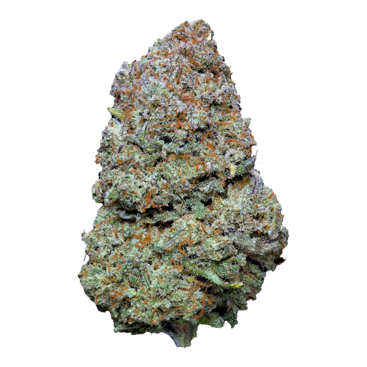Fleur CBD MK Signature Fleurs d’Oranger 13,59% Indoor Magic King